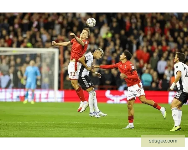 乌克兰迎战西班牙焦点对决攻防博弈点燃绿茵之夜欧洲赛场实力较量悬念拉满